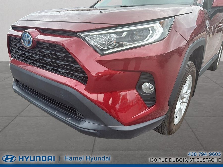 Toyota RAV4 2020 2020 Rouge