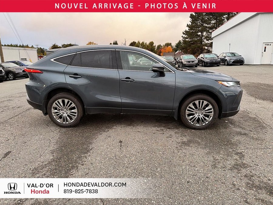 Toyota Venza XLE AWD 2024 Bleu