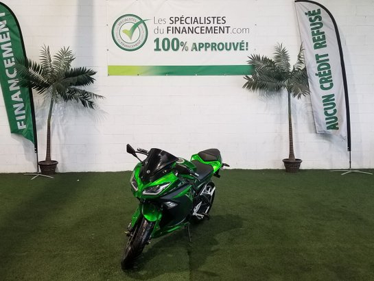 2022 Emmo ZZ Performance 2022 Green
