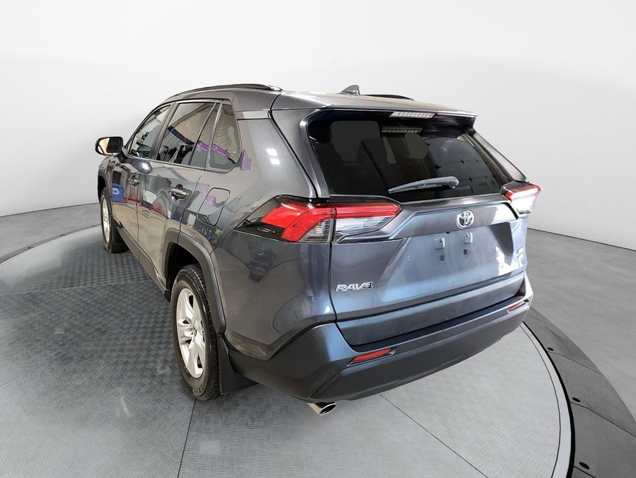 2019 Toyota RAV4 2019 Magnetic Grey Metallic