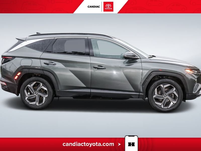 Hyundai Tucson 2023 Gris Laval - photo #10