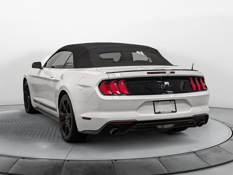 Ford MUSTANG 2.3L EcoBoost Convertible Groupe 101A 2020 Blanc