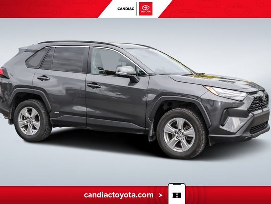 2023 Toyota Rav 4 Hybrid XLE AWD-VOLANT CHAUF-TOIT OUVRANT-MAGS Grey