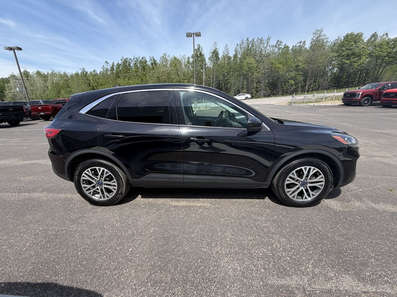 Ford Escape 2022 Noir Mont-Laurier - photo #6