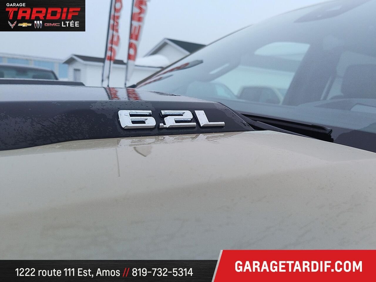 Chevrolet Silverado 1500 46388A 2022 Beige Amos - photo #5