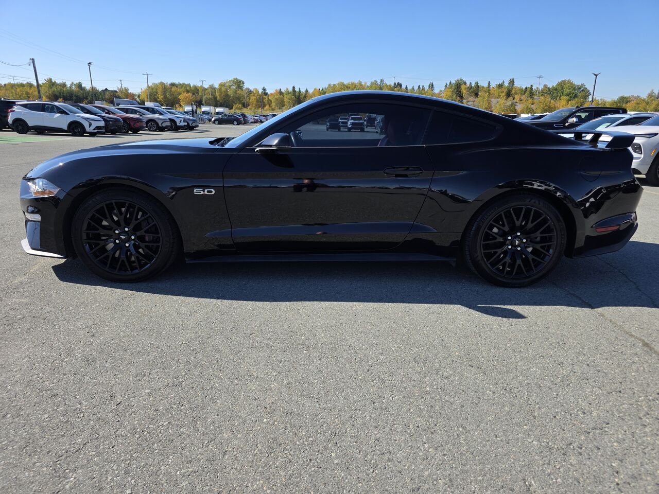 Ford Mustang GT à toit fuyant 2019 Noir Rouyn-Noranda - photo #3