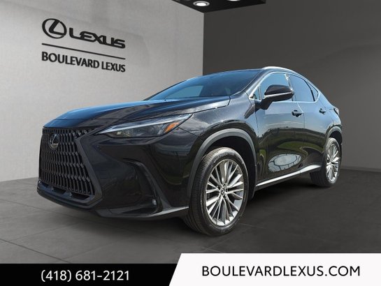 Lexus NX 2022 2022 Noir