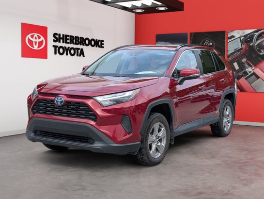 Toyota RAV4 Hybride 2023 2023 Rouge