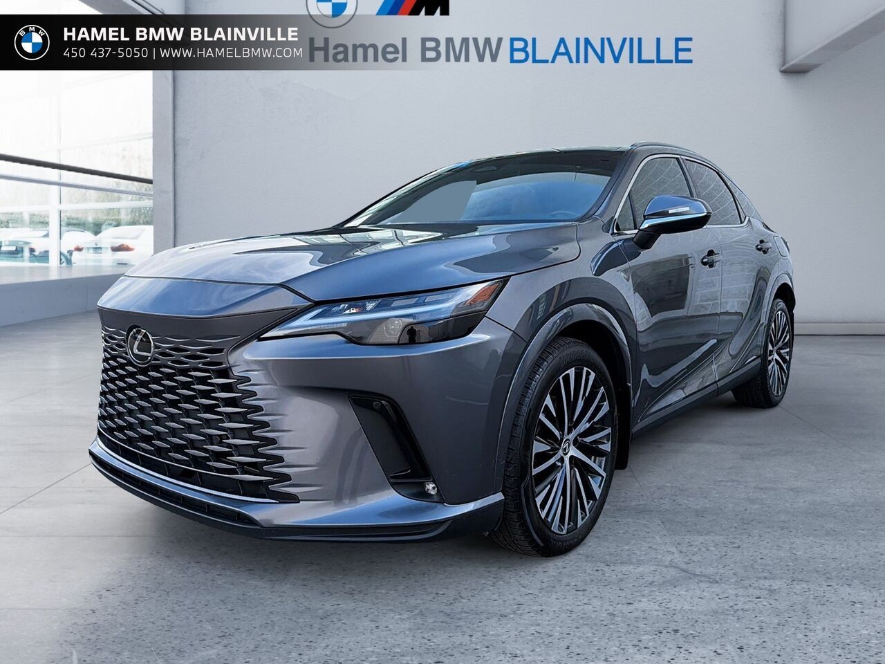 Gray 2023 Lexus RX SUV / Crossover All-Wheel Drive Automatic