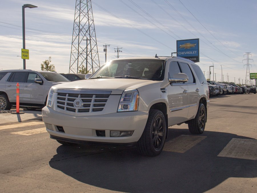 2008 Cadillac Escalade 2008 White