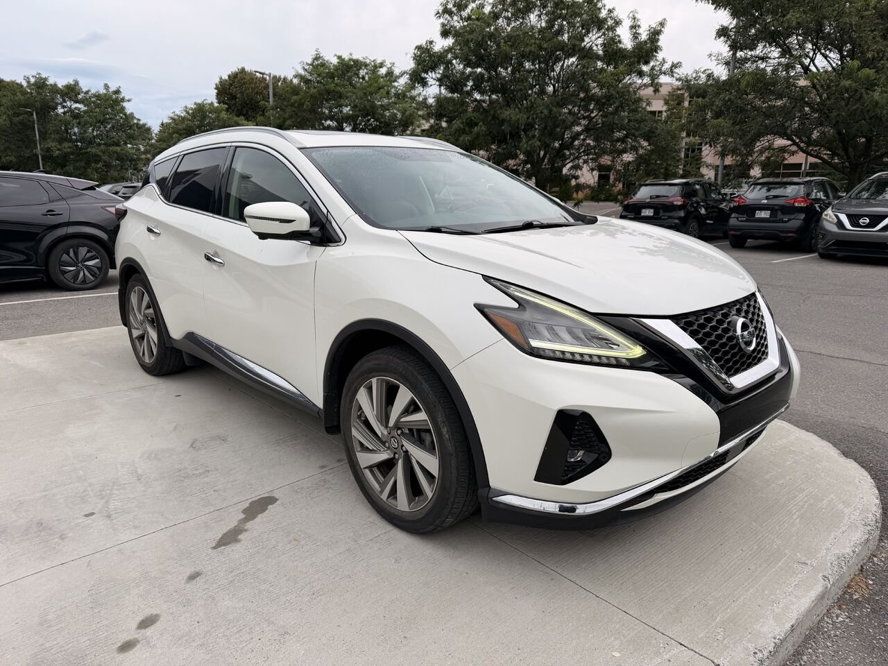 2019 Nissan Murano SL TI White Châteauguay - photo #2