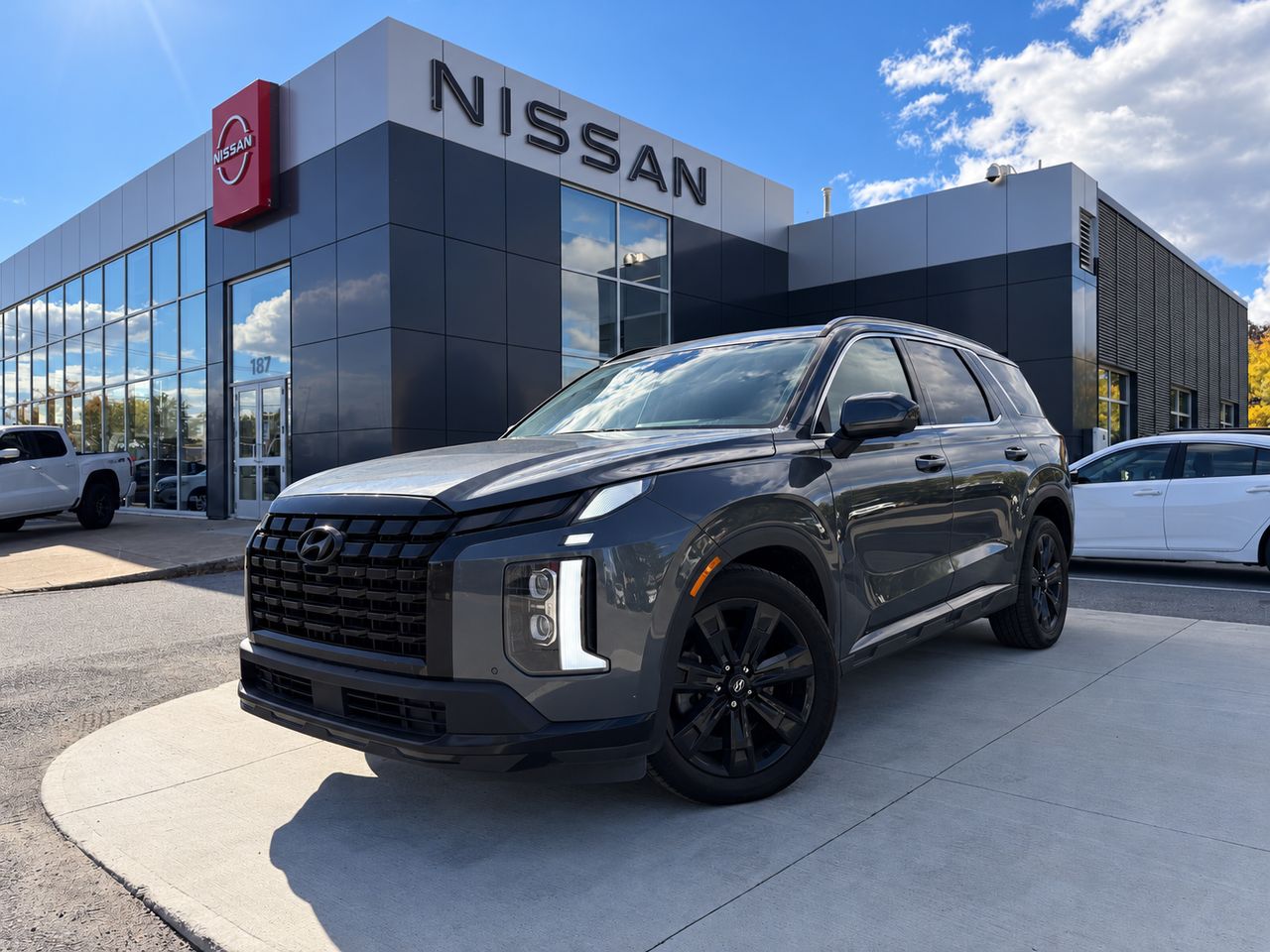 Gray 2024 Hyundai Palisade SUV / Crossover Automatic