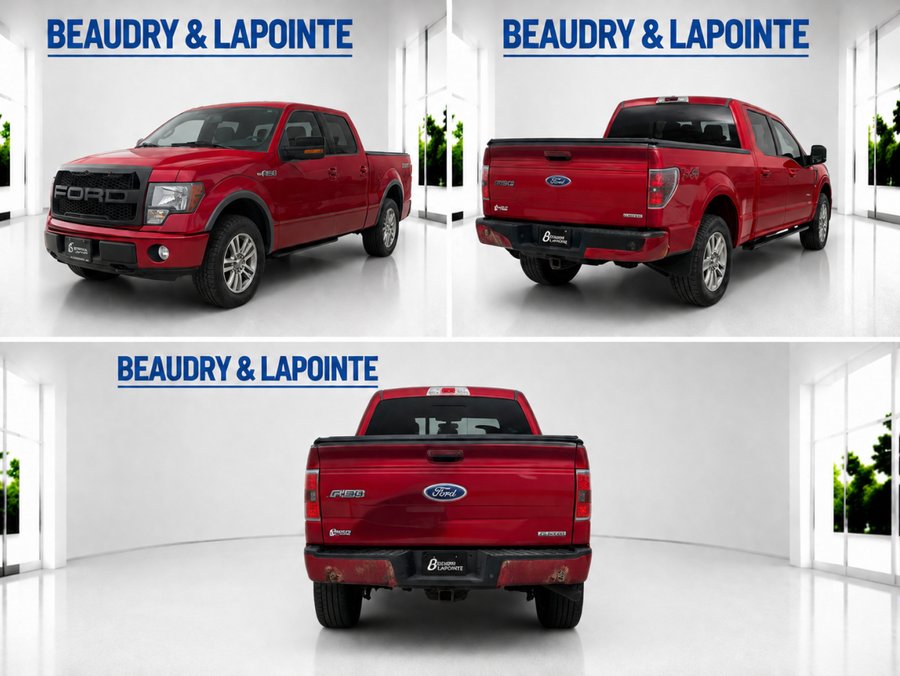 Ford F-150 2014 2014 Rouge