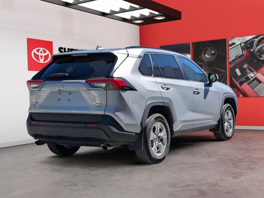 2019 Toyota RAV4 2019 Grey