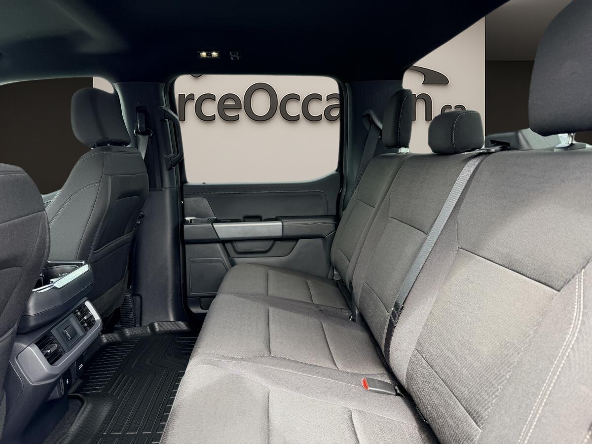 2025 Ford F-150 Black  - photo #12