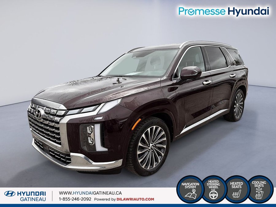 Hyundai Palisade 2024 2024 Rouge