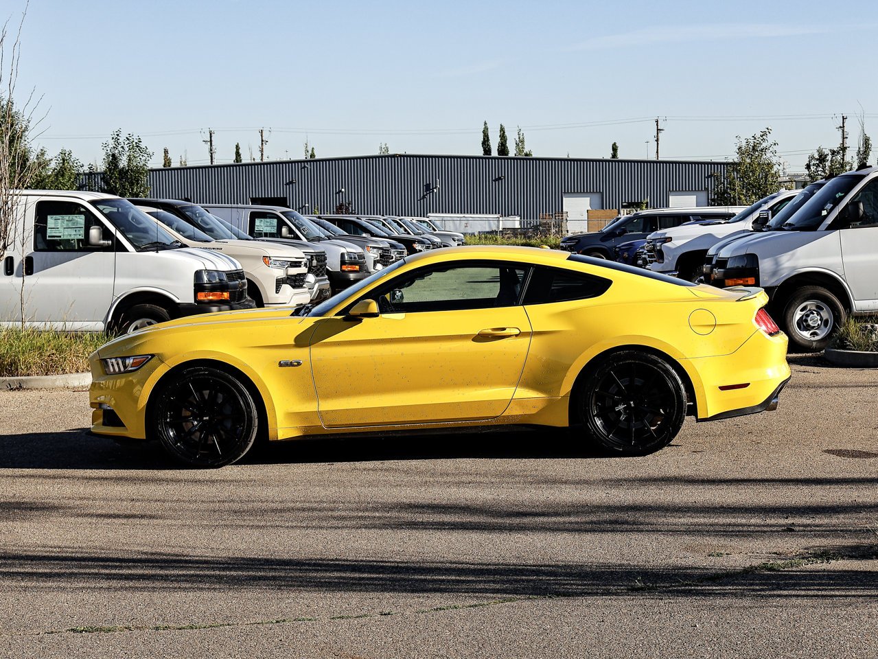 2015 Ford Mustang 2dr Fastback GT Premium Yellow Sherwood Park - photo #9