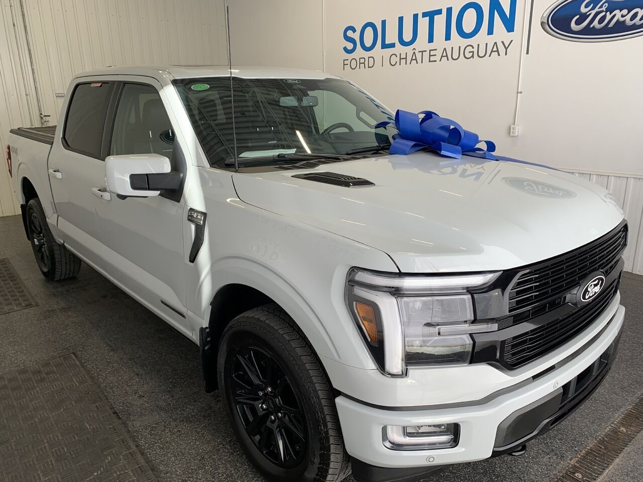2024 Ford F-150 PLATINUM Grey Châteauguay - photo #6
