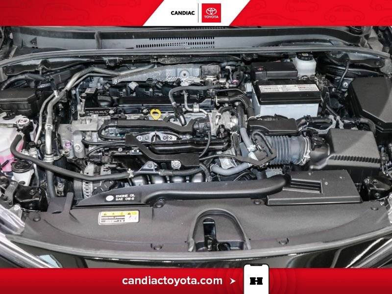 2023 Toyota Corolla Black Laval - photo #35