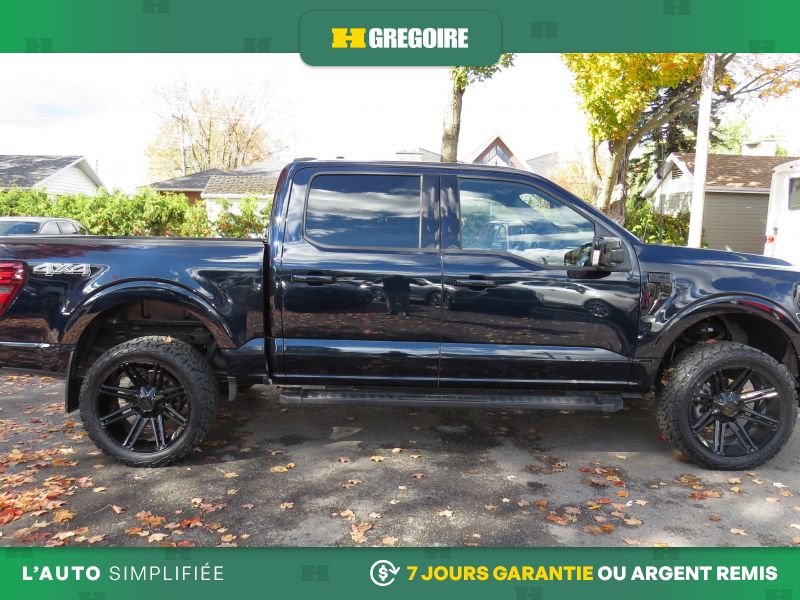 2025 Ford F150 Blue Laval - photo #10