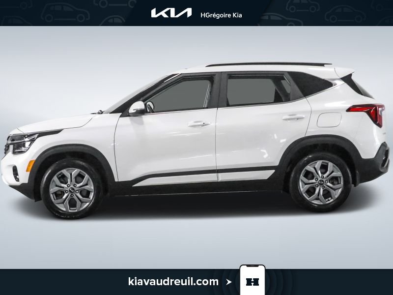 Kia Seltos EX 2025 Blanc