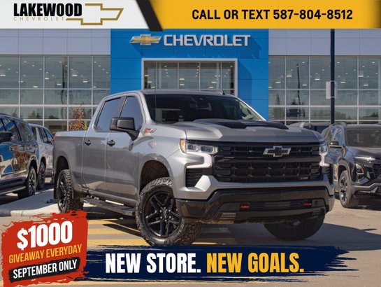 2023 Chevrolet Silverado 1500 2023 Grey