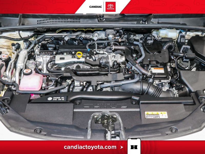 Toyota Prius 2024 Blanc Laval - photo #33