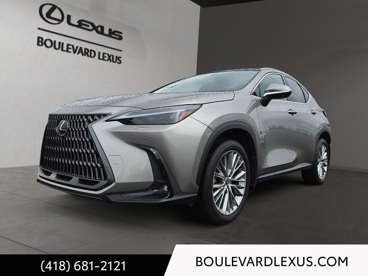 Silver 2024 Lexus NX Hybrid SUV / Crossover Continuously Variable Transmission