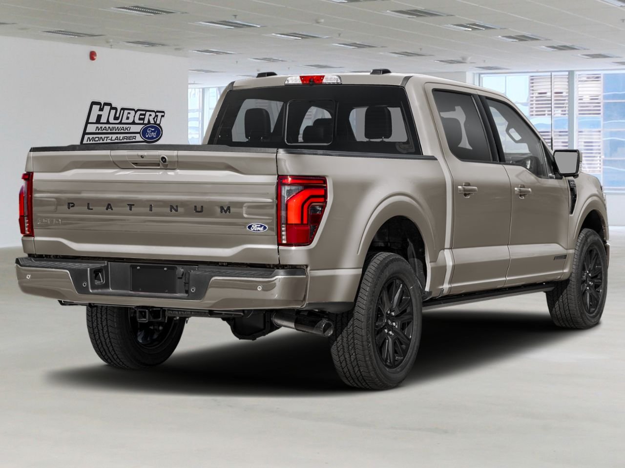 Ford F-150 2026 Gris marais Mont-Laurier - photo #2