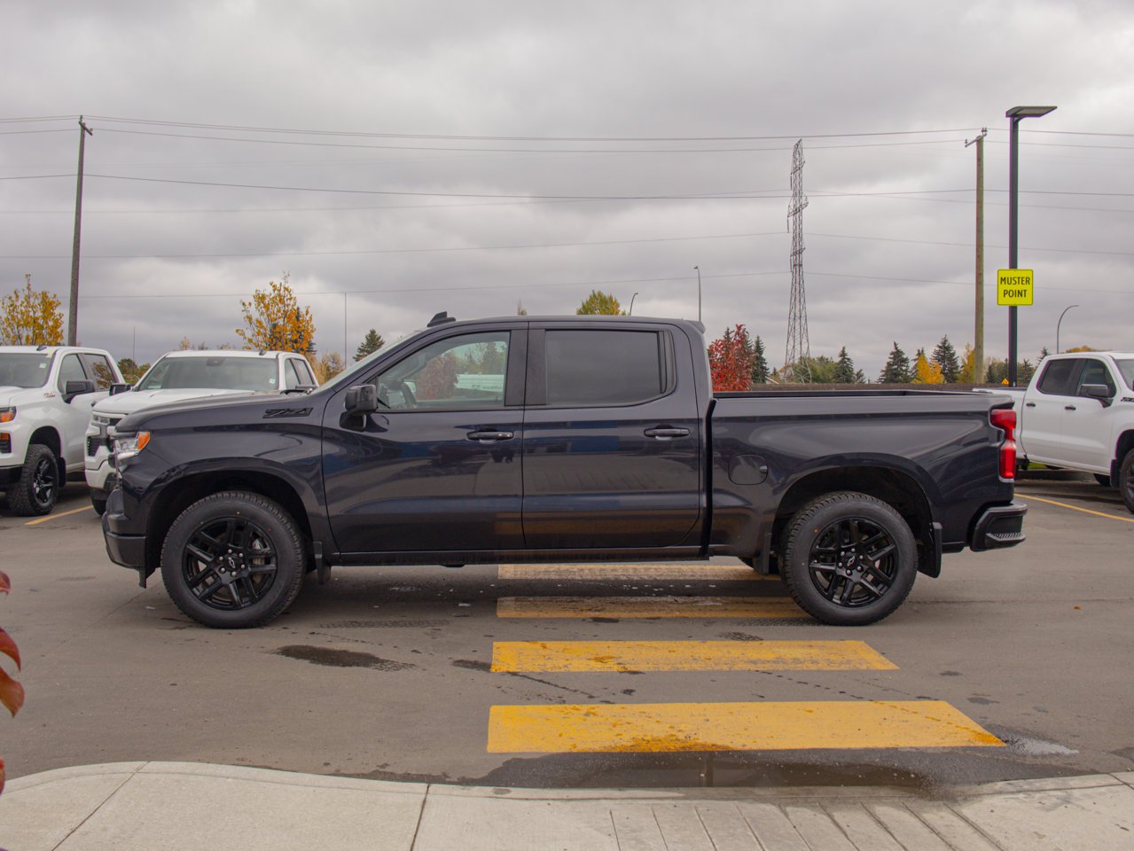 2024 Chevrolet Silverado 1500 4WD Crew Cab 147 RST Grey Sherwood Park - photo #6