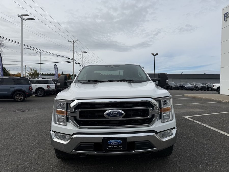Ford F-150 XLT cabine double 4RM caisse de 8 pi 2023 Blanc