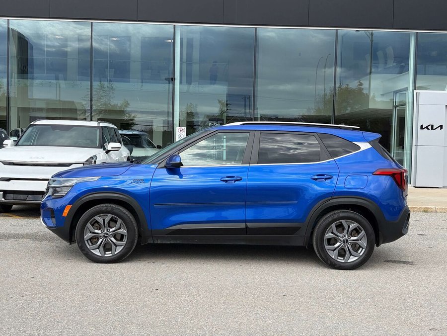 Kia Seltos EX 2024 Bleu