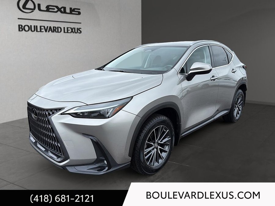 Lexus NX 2022 2022 Argent