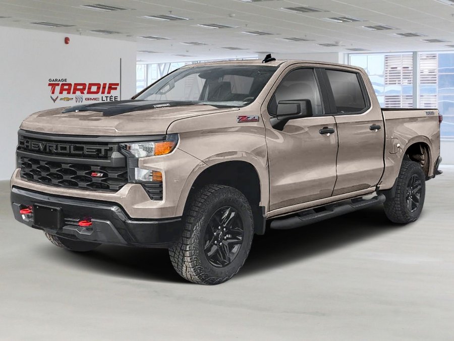 2020 GMC Silverado 1500 Custom Trail Boss cabine multiplace 4RM 147 po White Sands