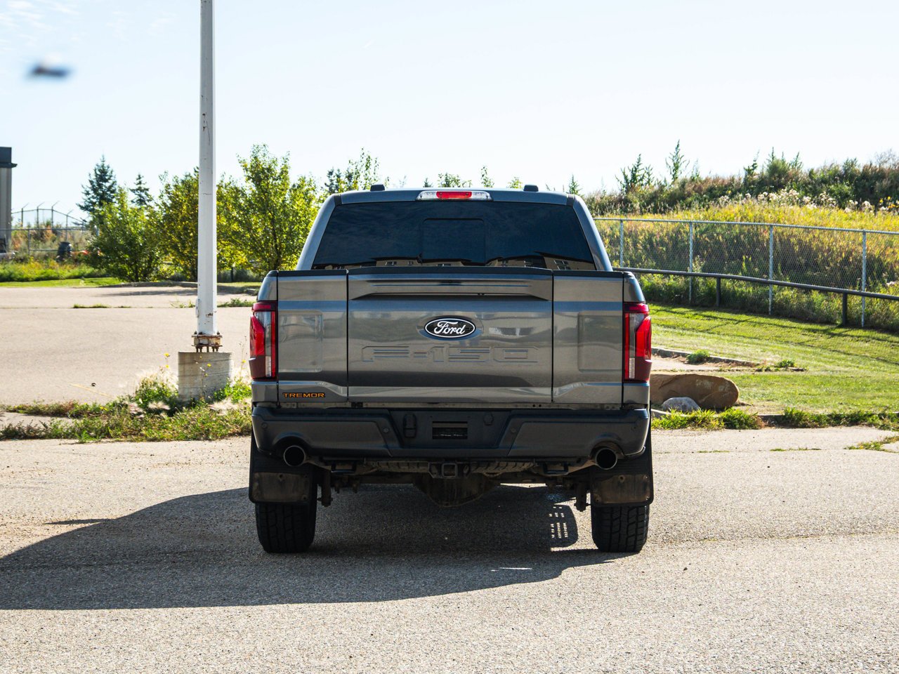 2025 Ford F-150 Tremor 4WD SuperCrew 5.5' Box Grey Sherwood Park - photo #12