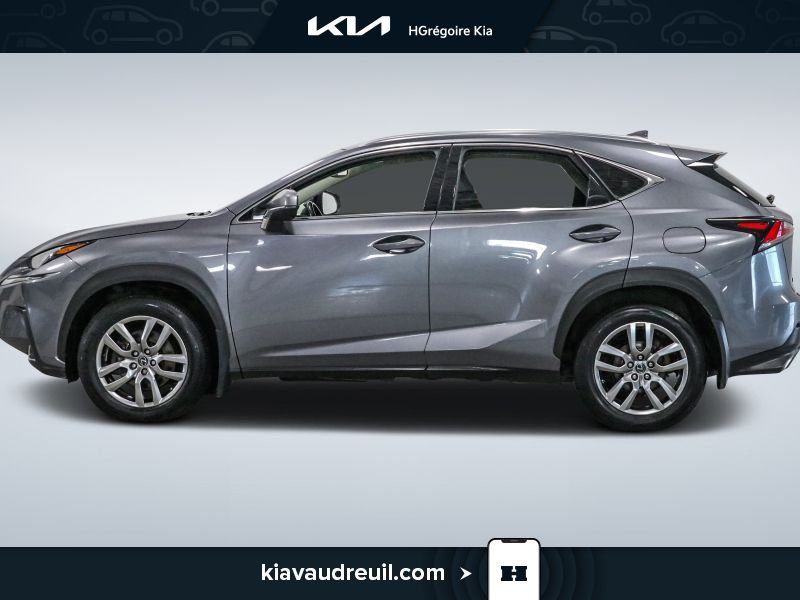 Lexus NX KA8037 | NX 300 AWD 2021 Gris Laval - photo #3