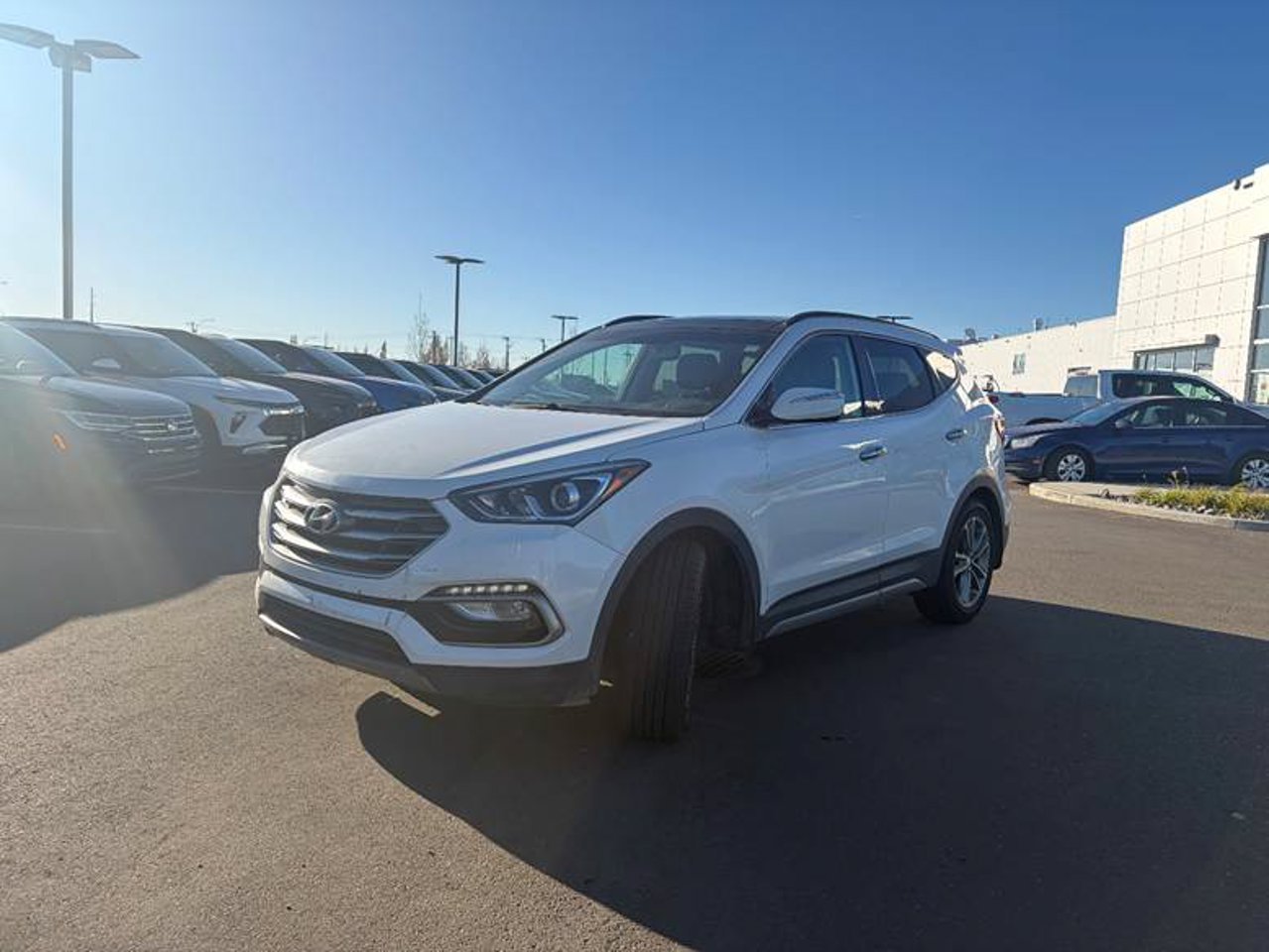 2017 Hyundai Santa Fe Sport AWD 4dr 2.0T Limited White Sherwood Park - photo #2