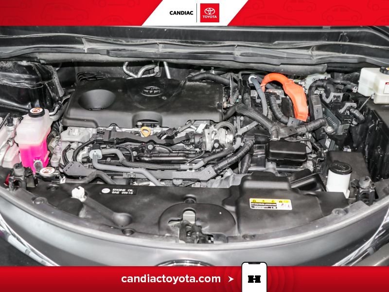 2024 Toyota Sienna Black Blainville - photo #34