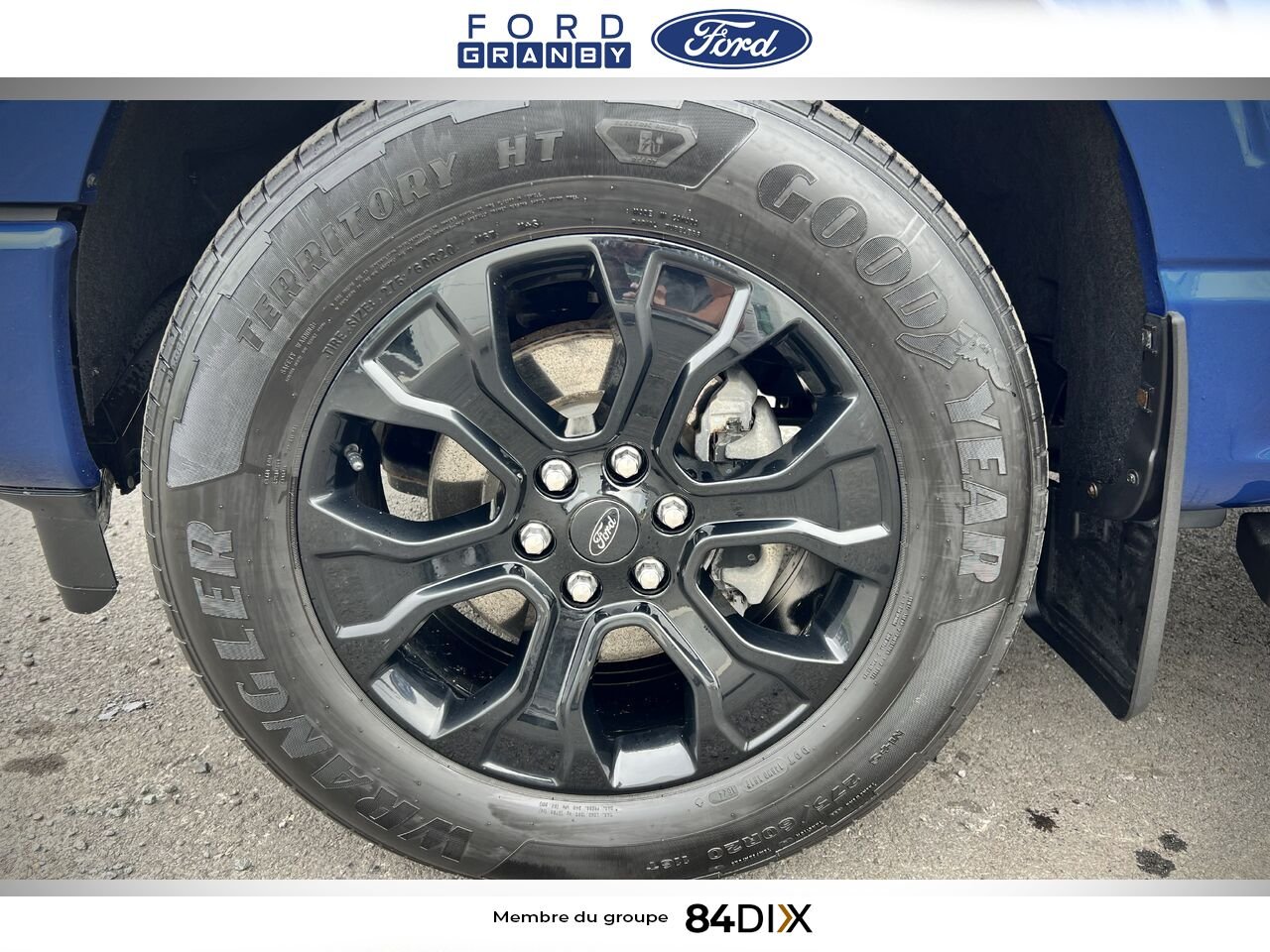 Ford F-150 2022 Bleu Granby - photo #11