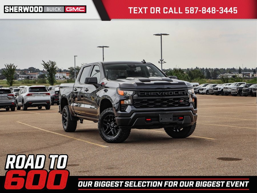2024 Chevrolet Silverado 1500 2024 Grey