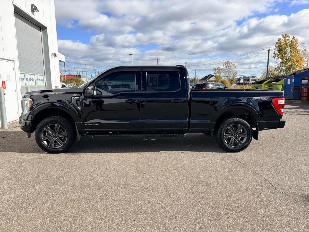 Ford F-150 2023 Noir Donnacona - photo #3