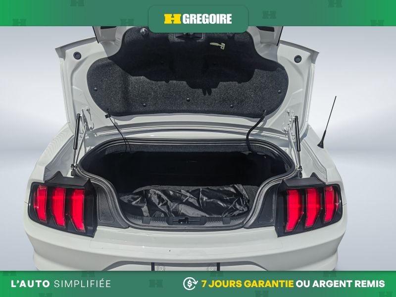 2021 Ford Mustang White Laval - photo #21