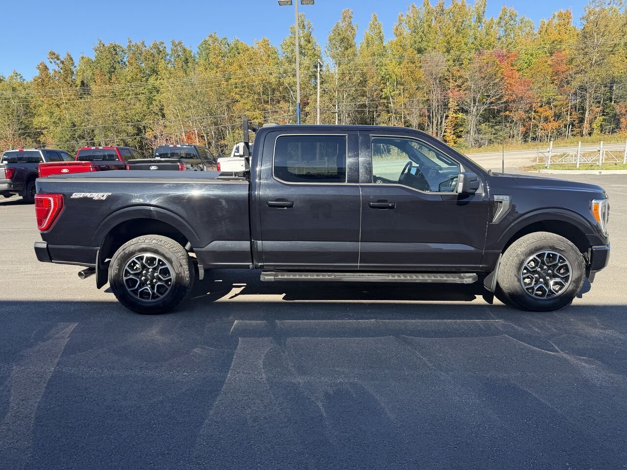 Ford F-150 2023 Noir Mont-Laurier - photo #6
