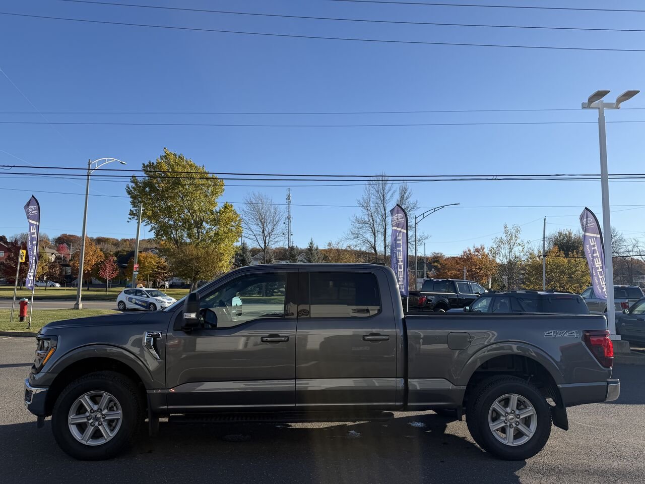 2026 Ford F-150 Grey Montmagny - photo #3