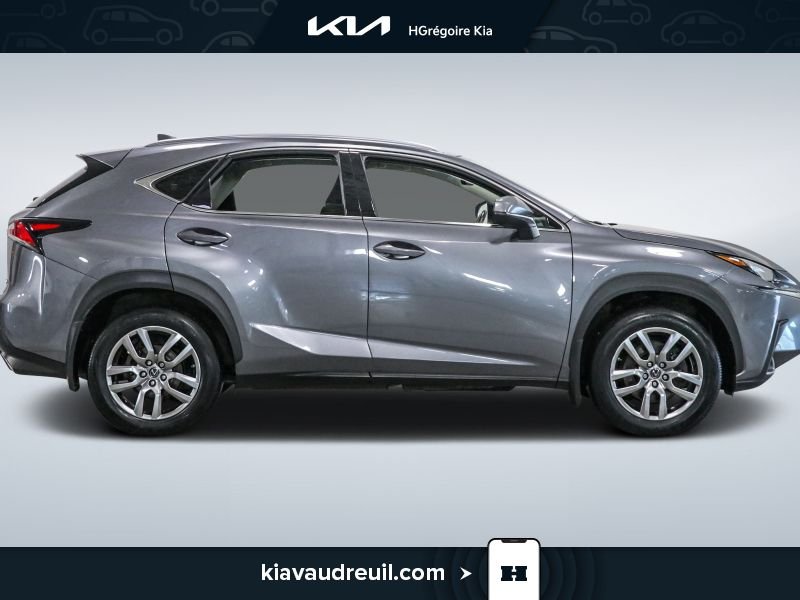 Lexus NX KA8037 | NX 300 AWD 2021 Gris Laval - photo #7