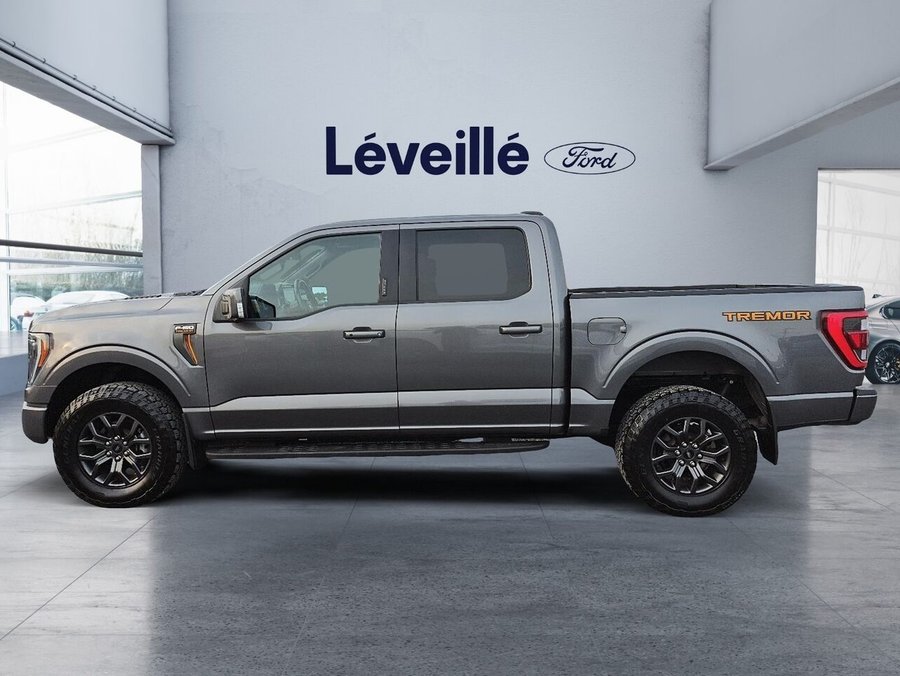 Ford F-150 2023 2023 Gris