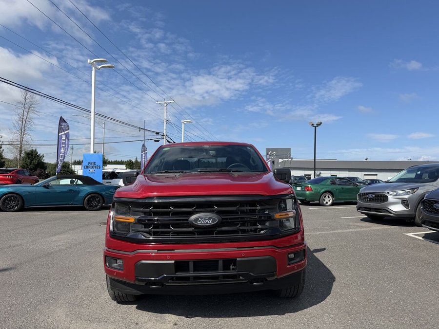 Ford F-150 2024 2024 Rouge