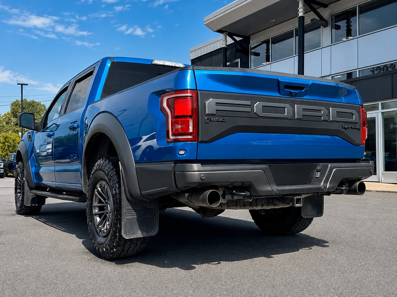 2019 Ford F-150 RAPTOR Blue Granby - photo #4