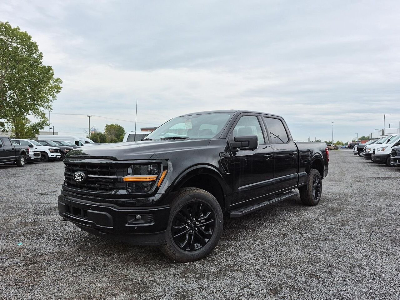 2026 Ford F-150 Agate Black Metallic Saint-Jérôme - photo #0