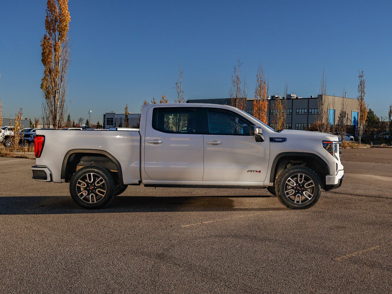 2025 GMC Sierra 1500 4WD Crew Cab 147 AT4 White Sherwood Park - photo #13